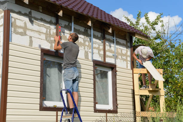 Best Stone Veneer Siding  in Mackinac Island, MI